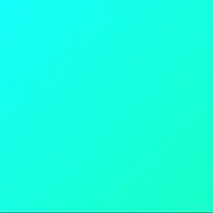 Meet your Posher, Alli